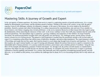 Essay on Mastering Skills: a Journey of Growth and Expert