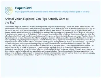 Essay on Animal Vision Explored: Can Pigs Actually Gaze at the Sky?