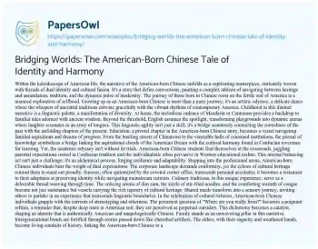 Essay on Bridging Worlds: the American-Born Chinese Tale of Identity and Harmony