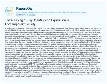 Essay on The Meaning of Gay: Identity and Expression in Contemporary Society