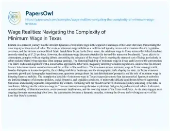 Essay on Wage Realities: Navigating the Complexity of Minimum Wage in Texas