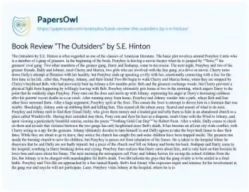 Essay on Book Review “The Outsiders” by S.E. Hinton