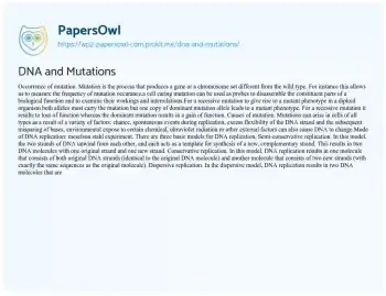 Essay on DNA and Mutations