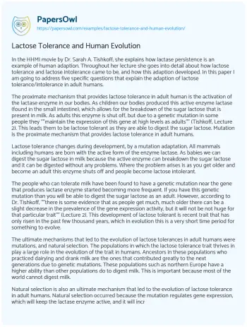 Essay on Lactose Tolerance and Human Evolution