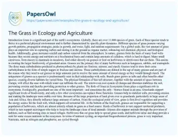 Essay on The Grass in Ecology and Agriculture