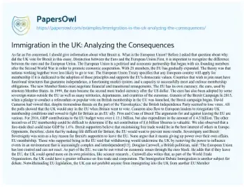 Essay on Immigration in the UK: Analyzing the Consequences