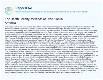 Essay on The Death Penalty: Methods of Execution in America