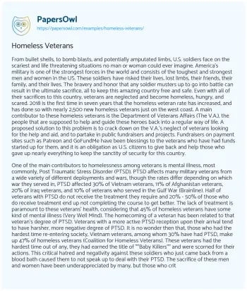 Essay on Homeless Veterans