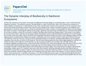 Essay on The Dynamic Interplay of Biodiversity in Rainforest Ecosystems