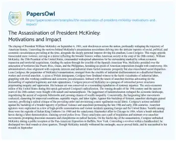 Essay on The Assassination of President McKinley: Motivations and Impact