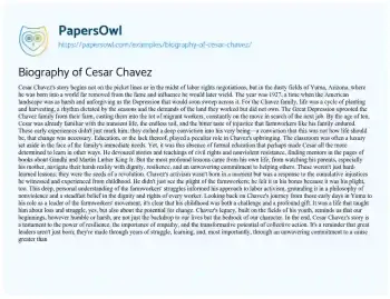 Essay on Biography of Cesar Chavez