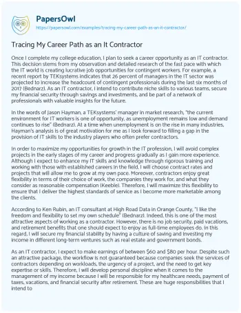 Essay on Tracing my Career Path as an it Contractor