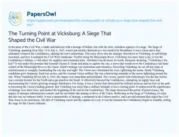 Essay on The Turning Point at Vicksburg: a Siege that Shaped the Civil War