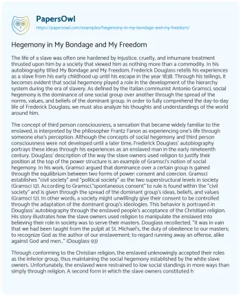 Essay on Hegemony in my Bondage and my Freedom