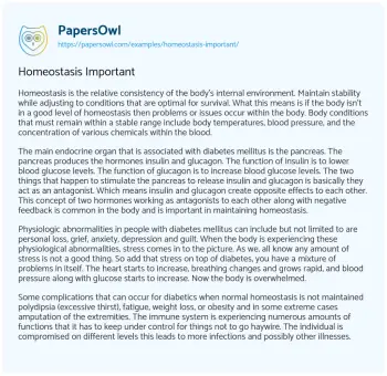 Essay on Diabetes and Homeostatic Control