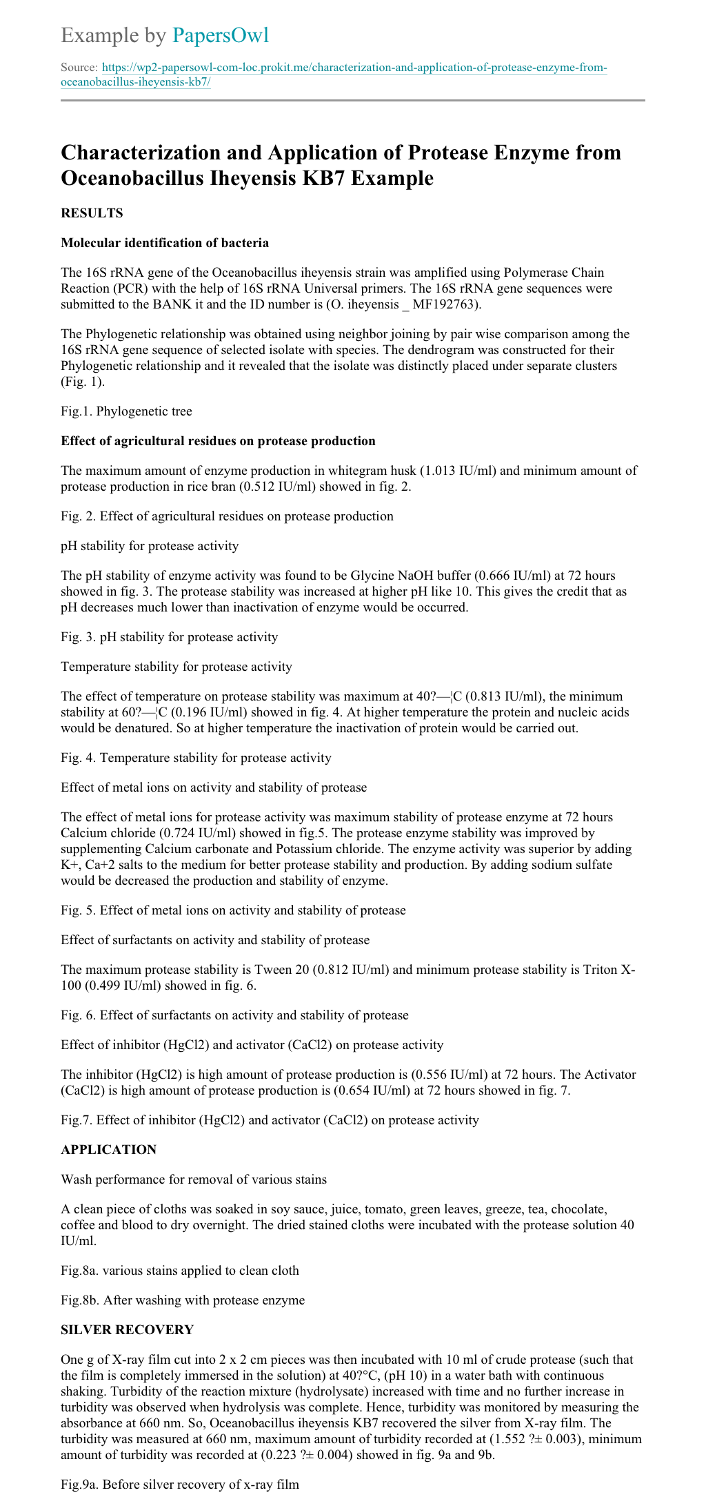 Enzymes conclusion paragraph picture