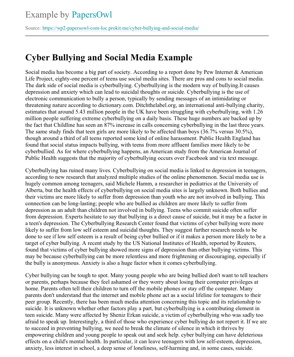 cyber bullying research essay