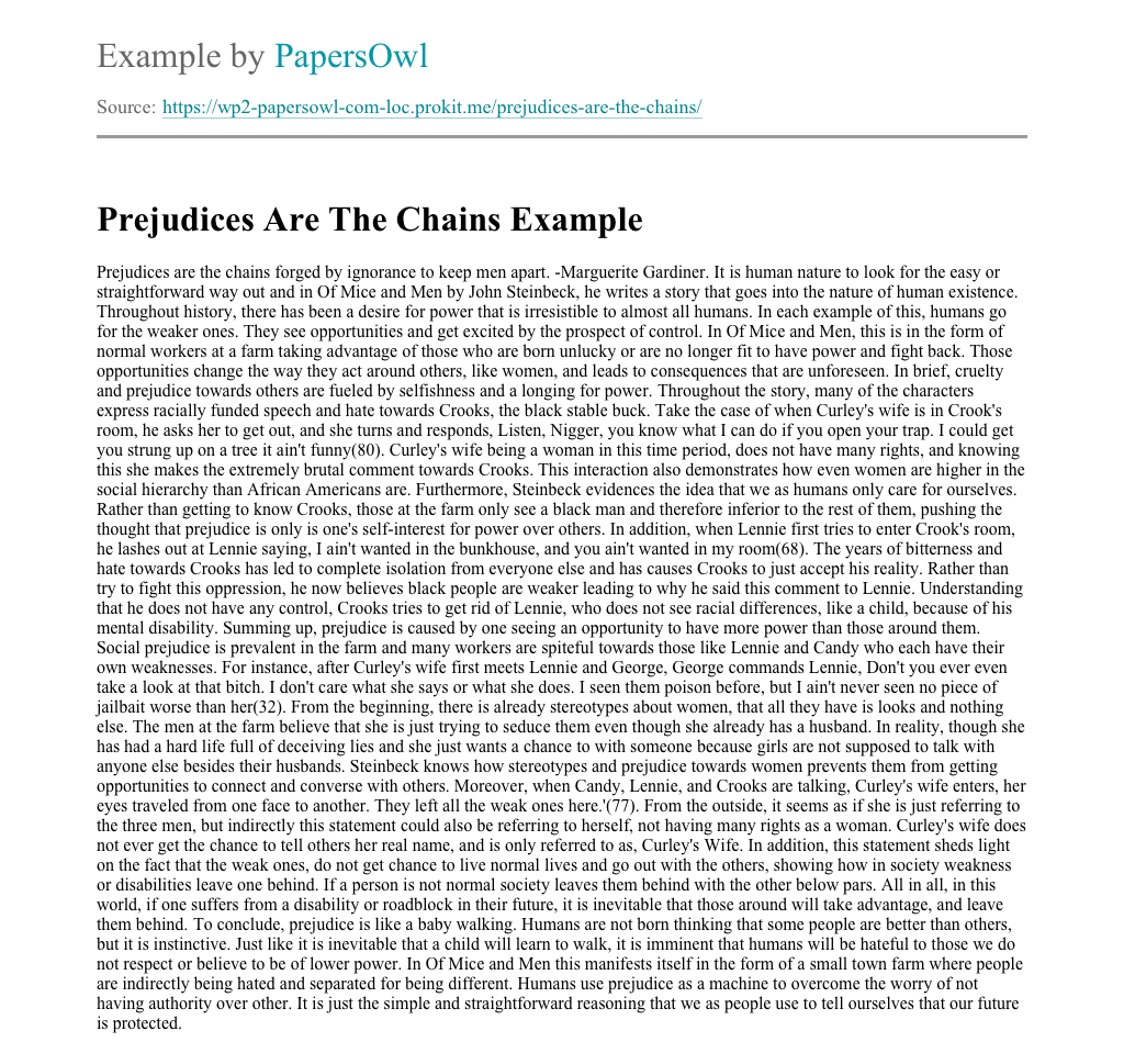 Prejudices Are The Chains Free Essay Example