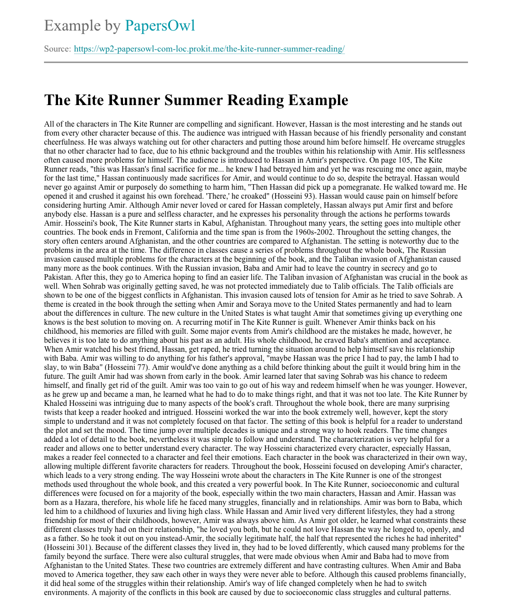 The Kite Runner Summer Reading Free Essay Example