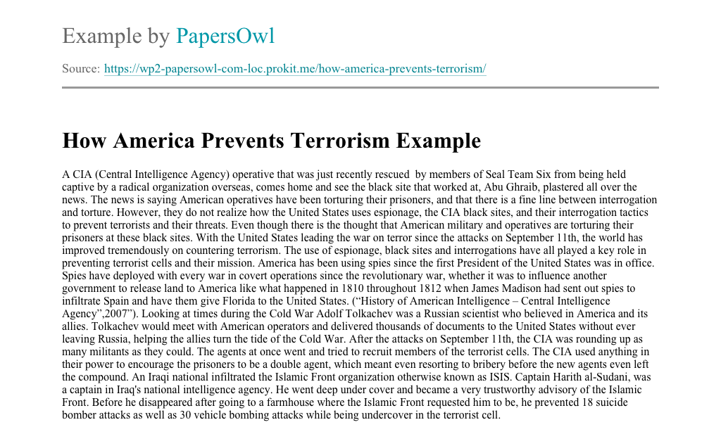 America terrorism essay 02 image