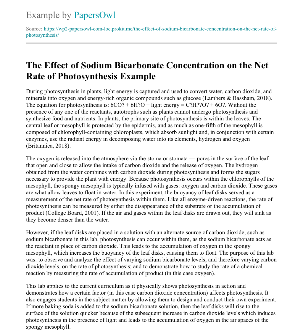 What are the materials produced after the process of photosynthesis picture