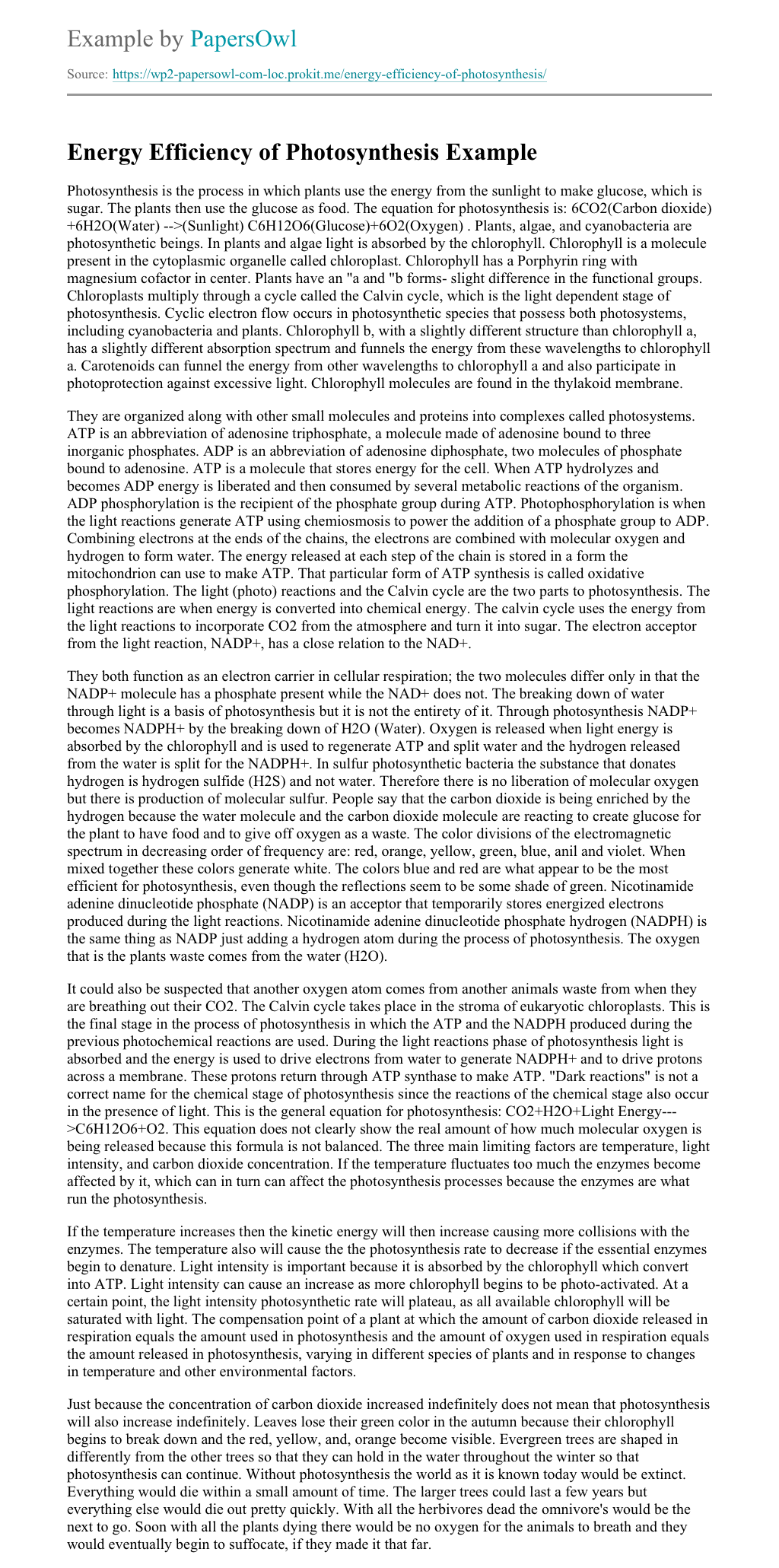 Photosynthesis research paper picture