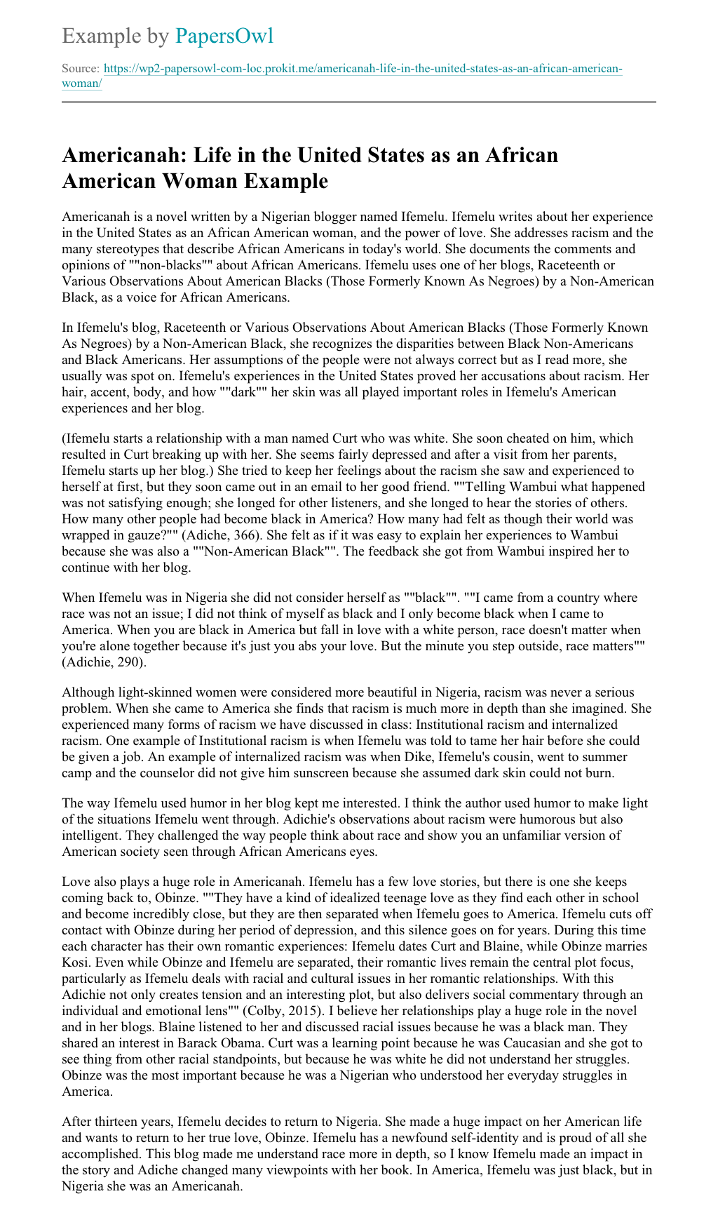 Americanah analysis image