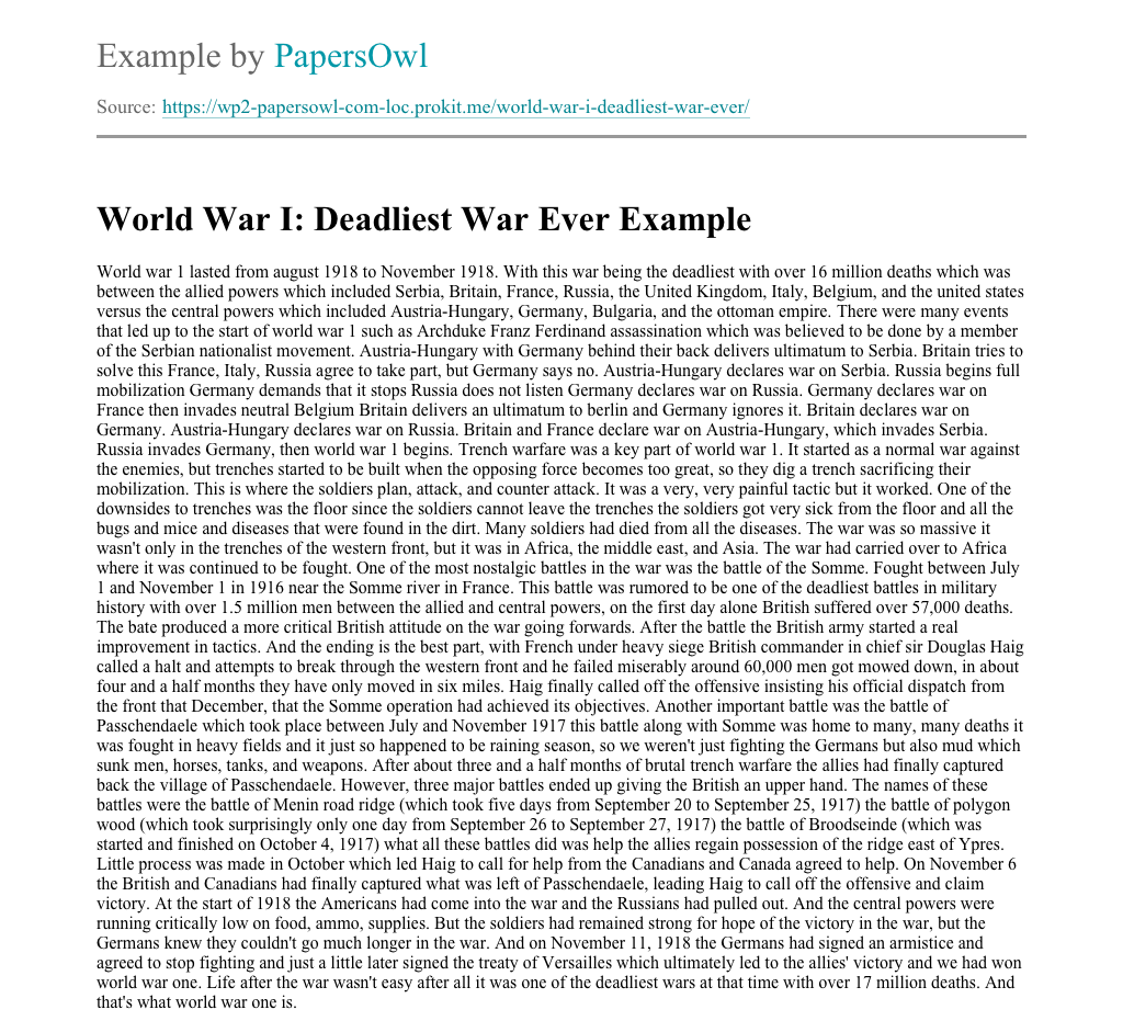 essay on world war i