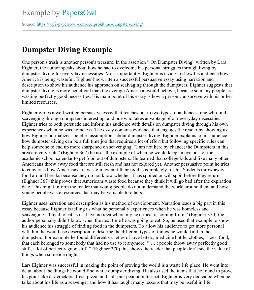 diving experience essay