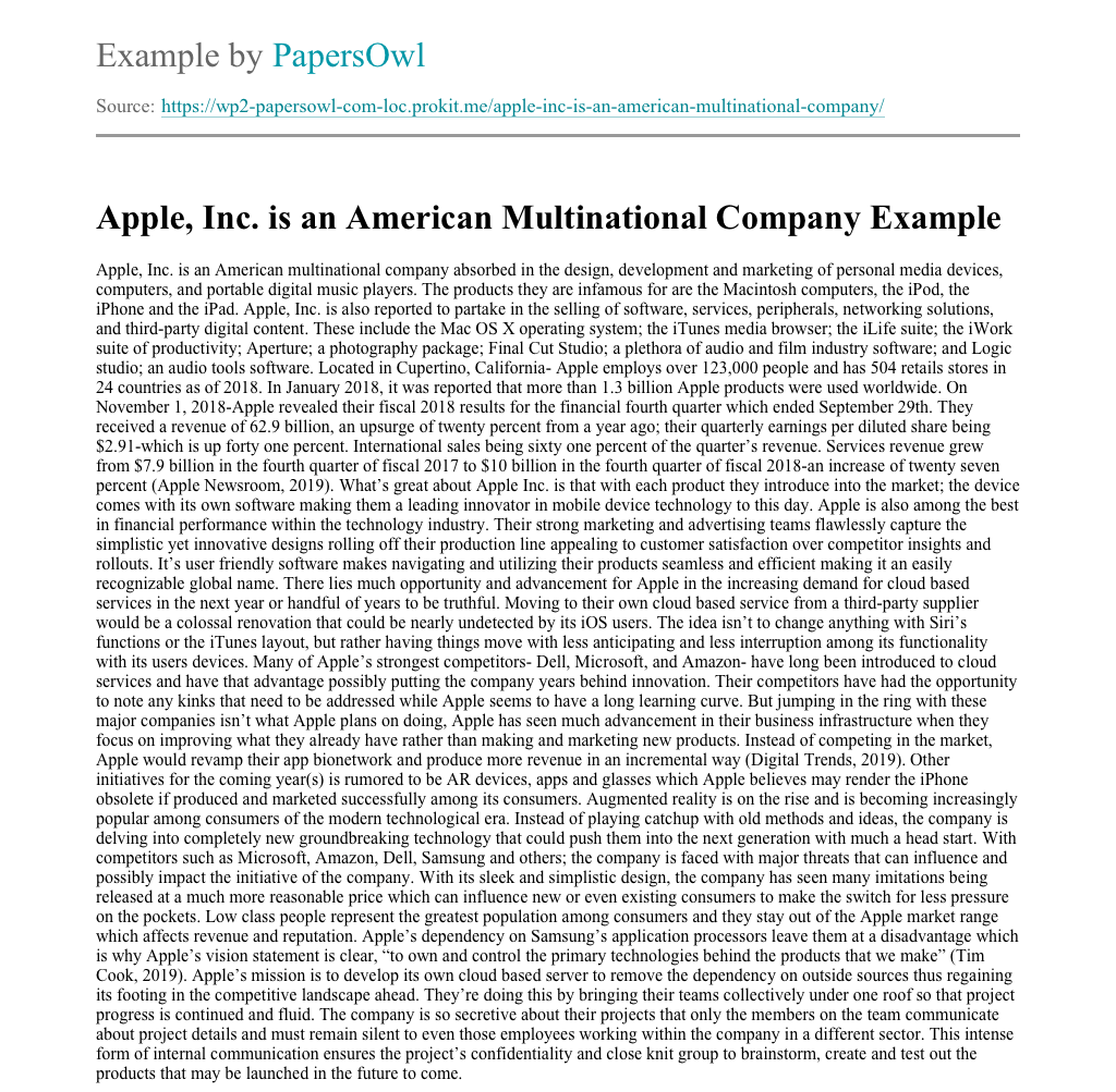 apple inc summary essay