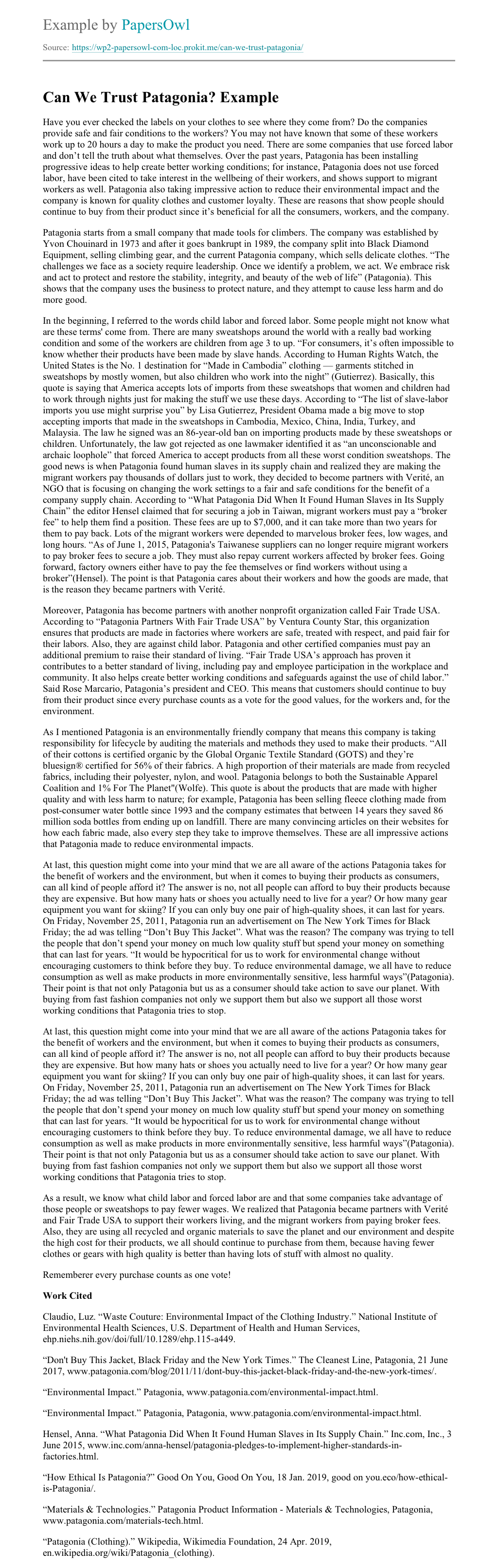 Patagonia challenge essay 08 image