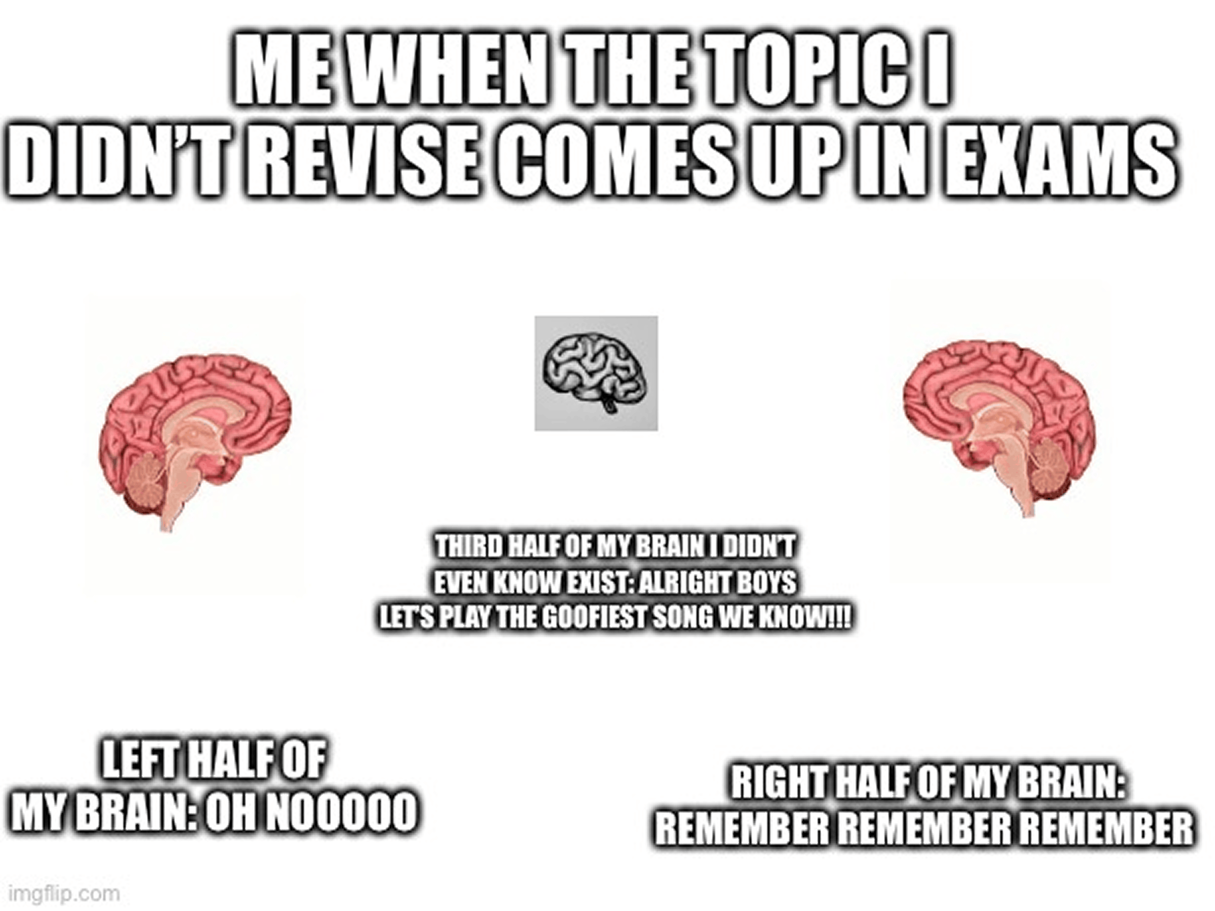 Meme about one part of the brain playing a goofy song during an exam on an unrevised topic