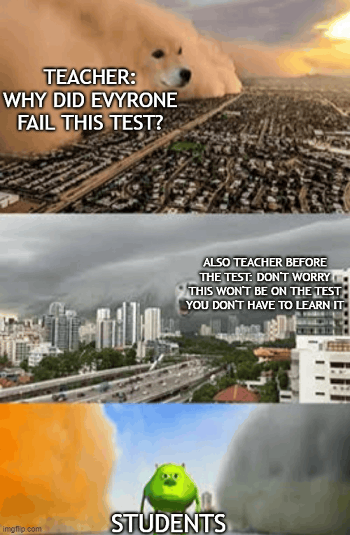 Doge vs. husky meme about a skipped topic appearing on the exam