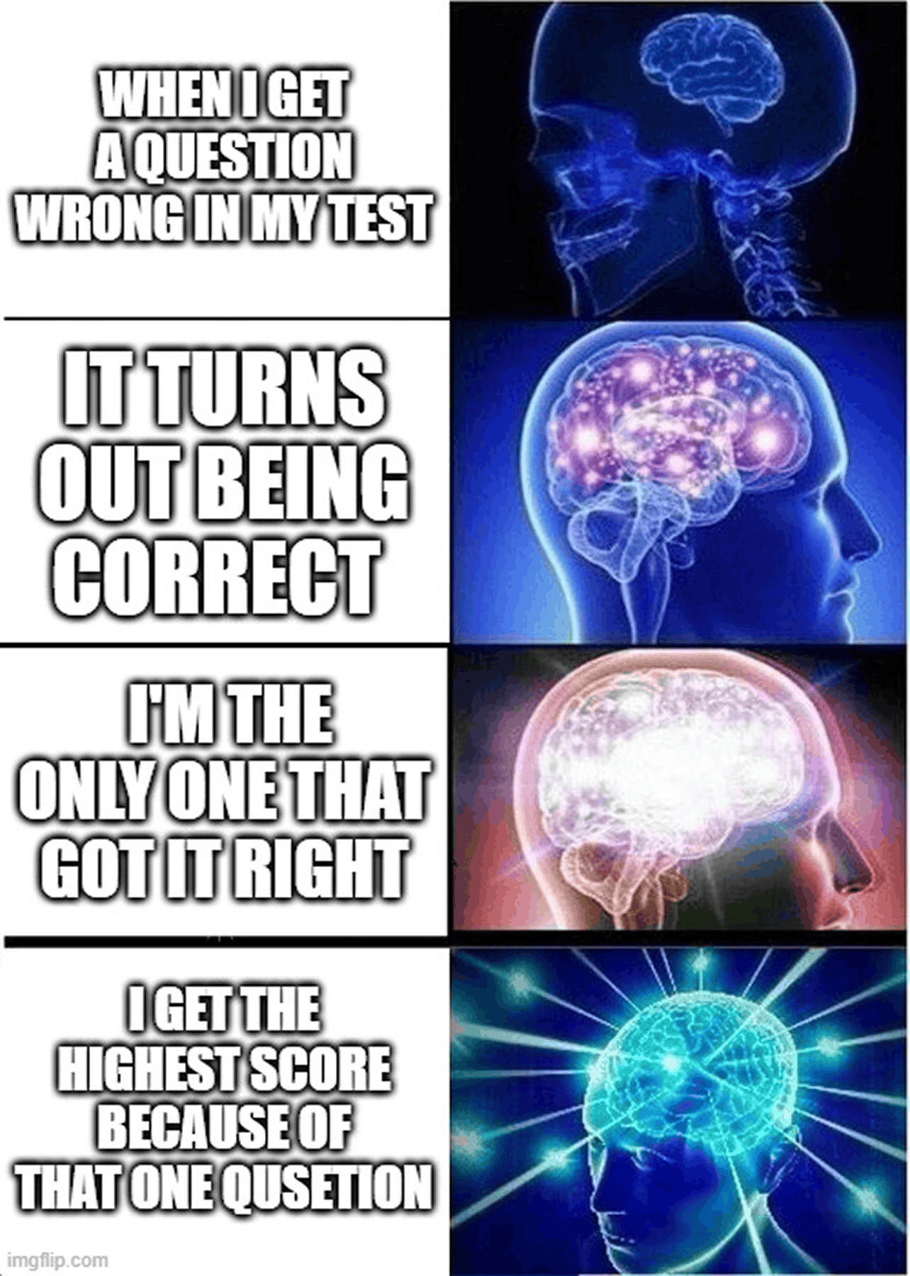Expanding brain meme about a doubted answer earning the highest score