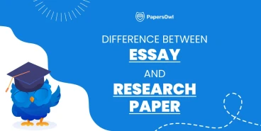 Key differences between an essay and a research paper explained visually