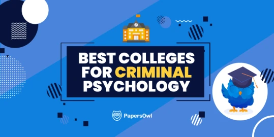 PapersOwl infographic featuring university icons and a graduation-themed owl