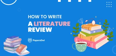 Infographic showing the structure of a literature review outline for academic writing.