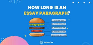 A 'burger' diagram illustrating how long an essay paragraph should be, featuring layers for topic sentence, supporting details, and concluding sentence.