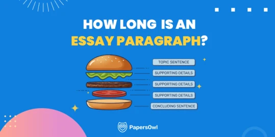 A 'burger' diagram illustrating how long an essay paragraph should be, featuring layers for topic sentence, supporting details, and concluding sentence.