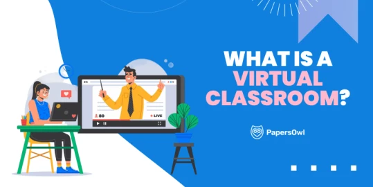 Illustration of a student and teacher interacting online with text "What is a Virtual Classroom?" — concept of virtual classroom learning by PapersOwl.