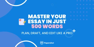 Infographic showcasing tips and guidelines for writing a 500-word essay.