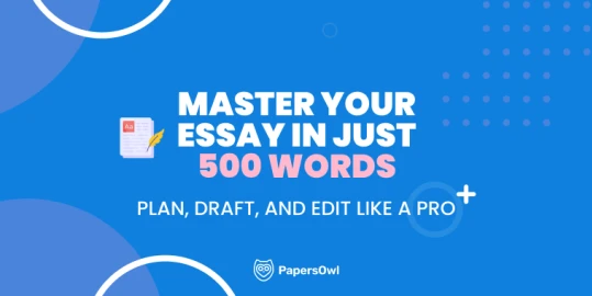 Infographic showcasing tips and guidelines for writing a 500-word essay.