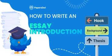 An educational infographic by PapersOwl showing the structure of an essay introduction with a signpost pointing to Hook, Background, and Thesis, featuring a blue owl mascot.