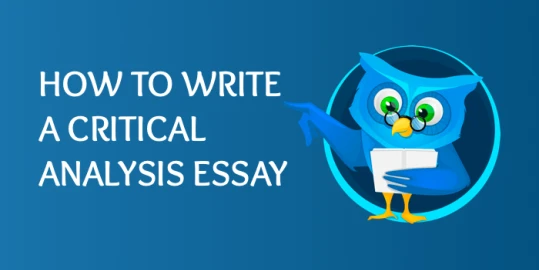How to Write a Critical Analysis Essay: From Structure to Template