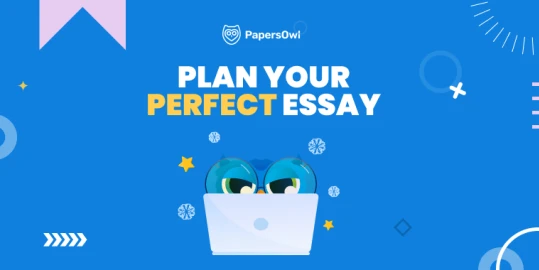 Infographic illustrating steps to create the perfect essay plan for students.