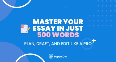 Infographic showcasing tips and guidelines for writing a 500-word essay.