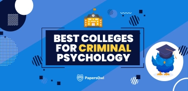 PapersOwl infographic featuring university icons and a graduation-themed owl