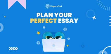Infographic illustrating steps to create the perfect essay plan for students.