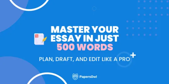 Infographic showcasing tips and guidelines for writing a 500-word essay.