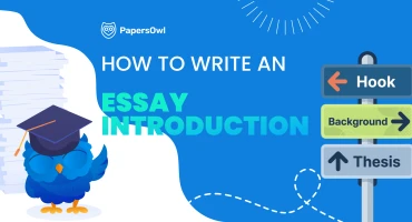 An educational infographic by PapersOwl showing the structure of an essay introduction with a signpost pointing to Hook, Background, and Thesis, featuring a blue owl mascot.